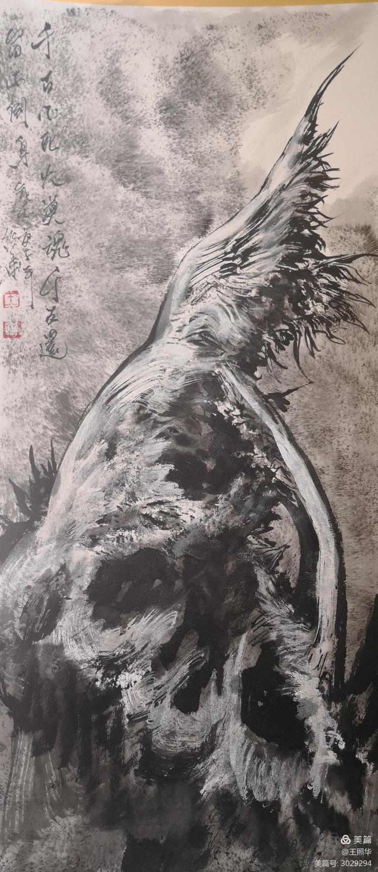  王照华|追求艺术真谛,王照华《大美胡杨》新篇