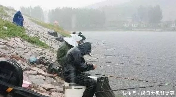 渔获|降雨前后这几种情况,与其枯坐守口,不如赶紧收杆走人