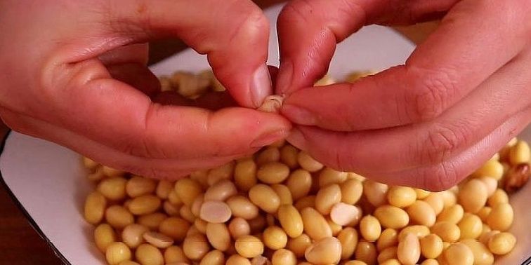 炸黄豆|黄豆这样做真的太好吃了,开胃下饭,我家一周做5次,真香