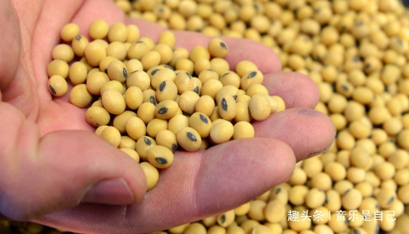 氨基酸|女人想皮肤好,多吃4种食物,排毒美容,清热解毒,大肚腩不见了