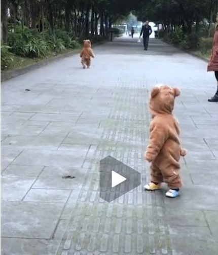 知识|双胞胎吵架生气,谁也不理谁背道而驰:关于双胞胎还有1个冷知识