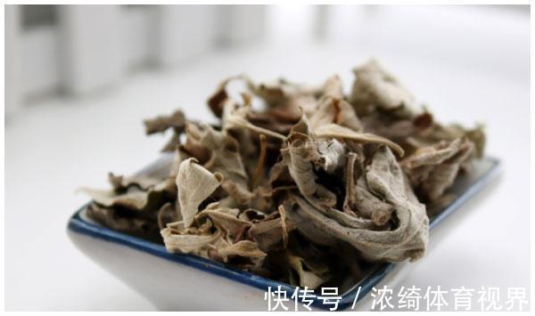 洗发水|家有三年艾,郎中不用来,艾叶怎么用效果才最好?很多人都在浪费