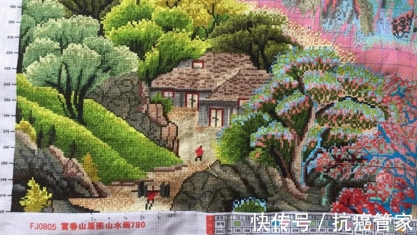 抗癌|当医生确诊肺癌,她会怎么看病?—抗癌管家