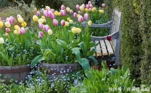 7个绝美花园,个个美炸了天,等有钱了我也要建一个