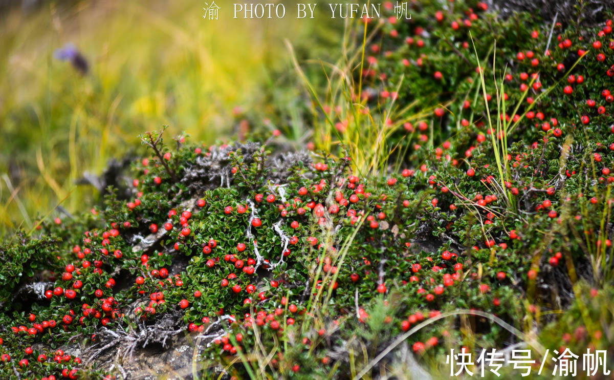 西藏政府|昌都三色湖畔的达宗遗址，旧西藏政府建立的城堡，已有数百年历史