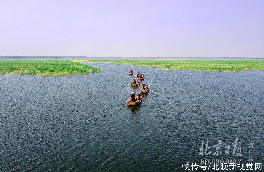 旅游|高清大图抢先看｜白洋淀景区升级改造后6月15日试运营