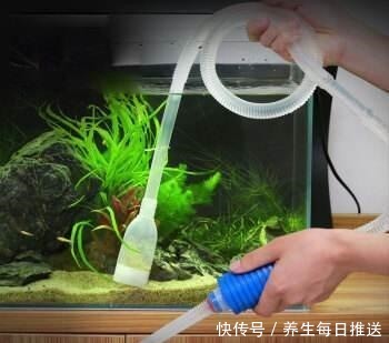 一招解决鱼缸里杂物过多的问题,再学不会,我们就别养观赏鱼了!