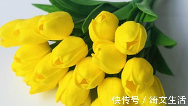 老爷子|102岁老中医的养肝秘诀,家里常备1花1草,乙肝转阴也简单