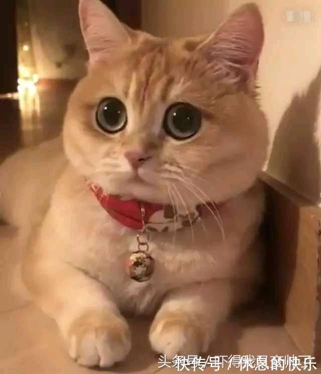 |开心一刻笑话:公交车上开着空调,我忍不住将体内的胀气排出体外