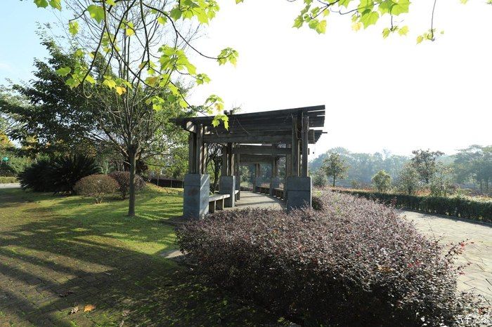 奶爸|准奶爸的座驾福克斯ST-line，颜值与性能齐飞