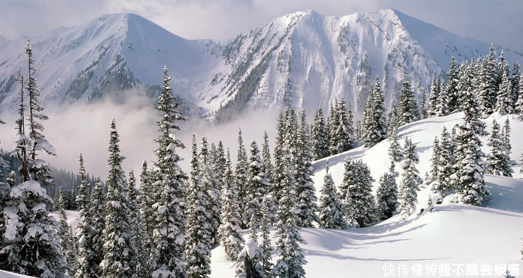  深刻|刘长卿很简练的一首诗，没有引经据典，没有使用生僻字，同样写得很深刻