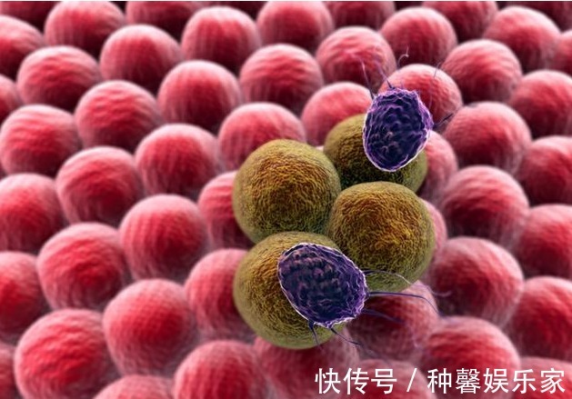 免疫疗法|抗癌“神药”面世可杀死多种癌细胞,还不脱发!将进行人体实验