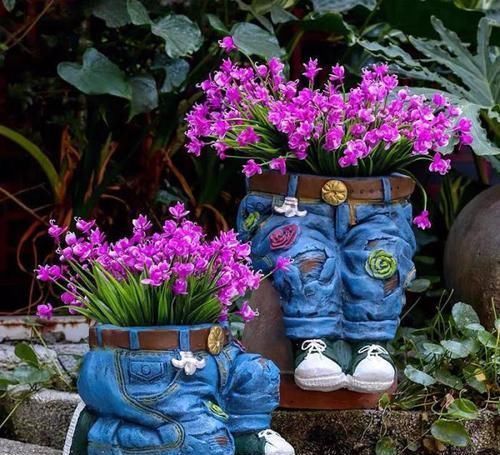 酒瓶兰|适合男人养的四种花,大气又稳重,旺财又旺运,早看早知道!