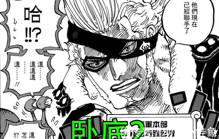 卧底|海贼王:凯多的确不容易,手下全是卧底,堪比柯南里的琴酒