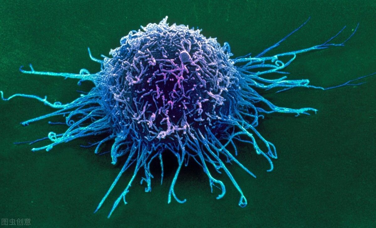 正常人癌胚抗原是1043