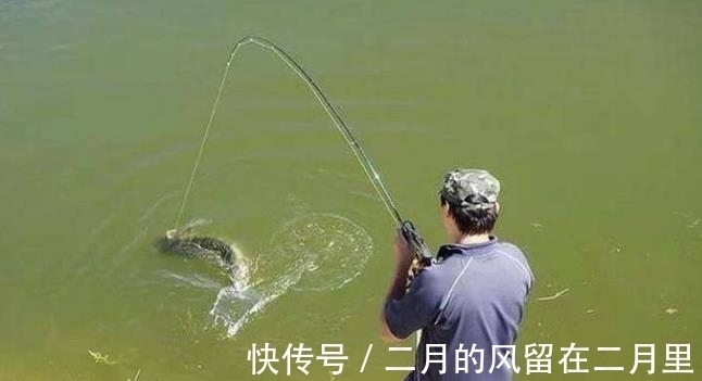 线组|有鱼无口,难怪越钓越烦,看老司机如何解决