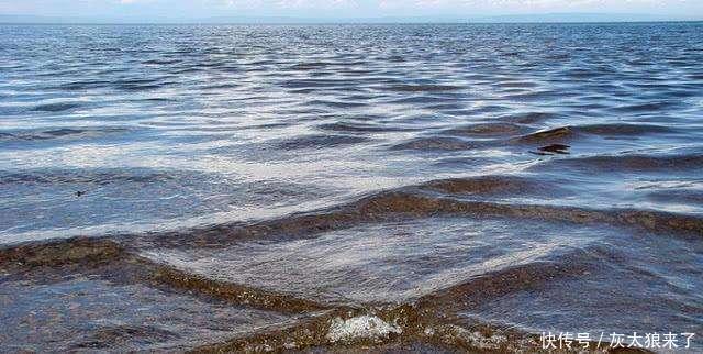如果在海上发现方形波浪,别犹豫马上离开,否则会有生命危险