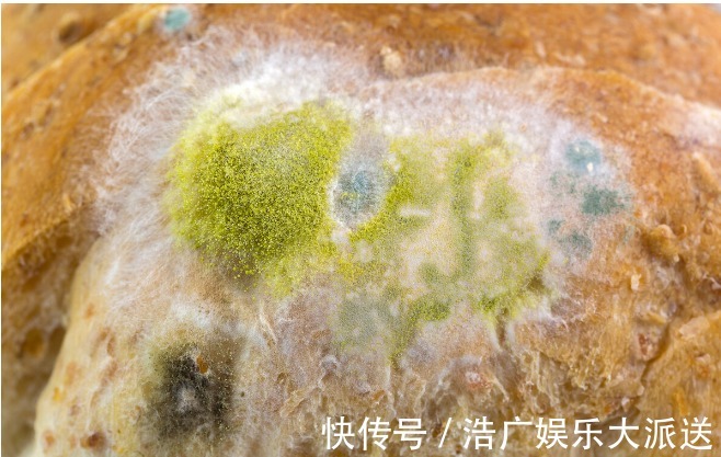 厨房|黄曲霉毒素很狡猾,如果你家里厨房有这5种情况,抓紧收拾