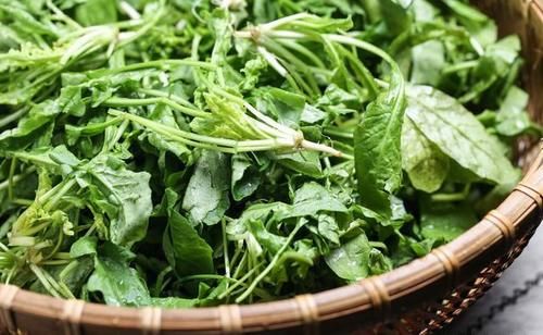 春天好吃的5种野菜，美味营养足，再贵也要买，错过又得等一年