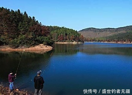 黄颡鱼|这才是打窝的正确操作!不知道这一点,难怪天天空军——盛世三渔