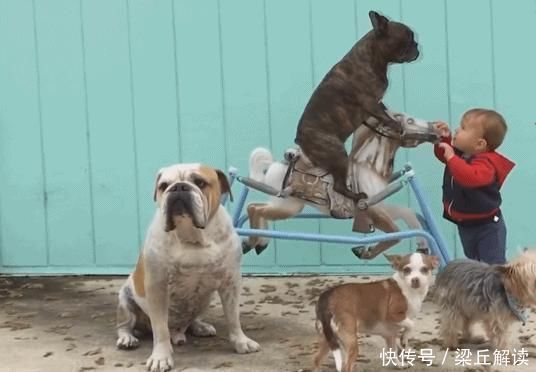 羚羊|“儿子用200元换了20元的玩具”，孩子间不等价交换，大多数父母都做错了