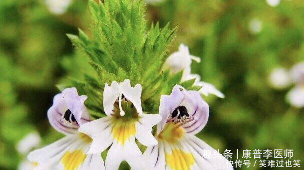 女人想身体好,推荐吃的食物,延缓皮肤衰老,强壮骨骼,滋养肌肤