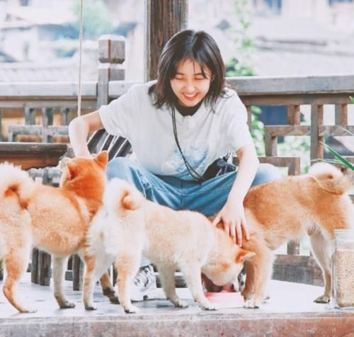 《向往5》曝光常驻MC人选,彭昱畅依旧常驻,但这次他也来了