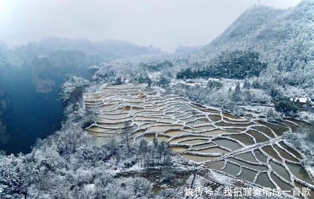 拥空中梯田，享土寨风情，张家界居然藏着一个“田园乌托邦”