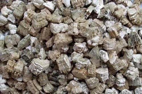 这种养花好料知道的人很少,土里加一点透气又保温,扦插时也有用