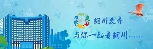 企业|数字引擎，点亮“云”上铜川