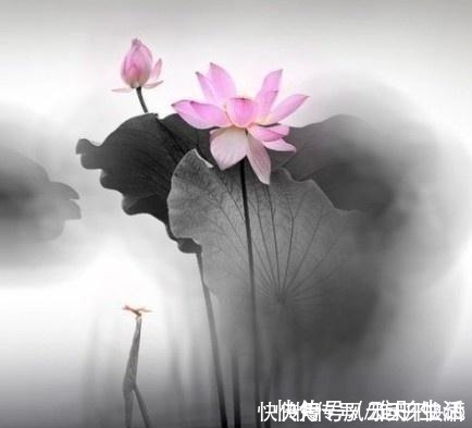 人生在世|佛教最经典的24句话，修身养性，不看是你的损失！