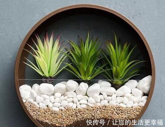 这些旧物都可以挂墙上养花,比挂画还好看呢,5种变废为宝创意!