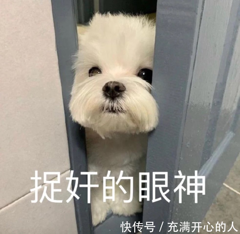 |搞笑表情包来啦