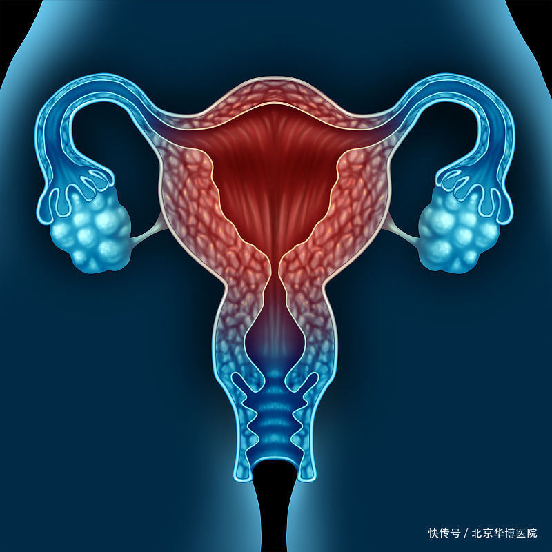 孕酮|黄体功能不足该怎么办？每天吃它来调节