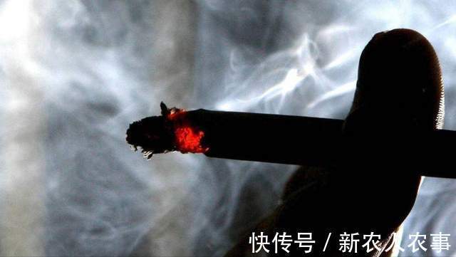 萌娃|安徽一萌娃火了,偷拿香烟分给店里的客人,网友:幼崽智商天花板