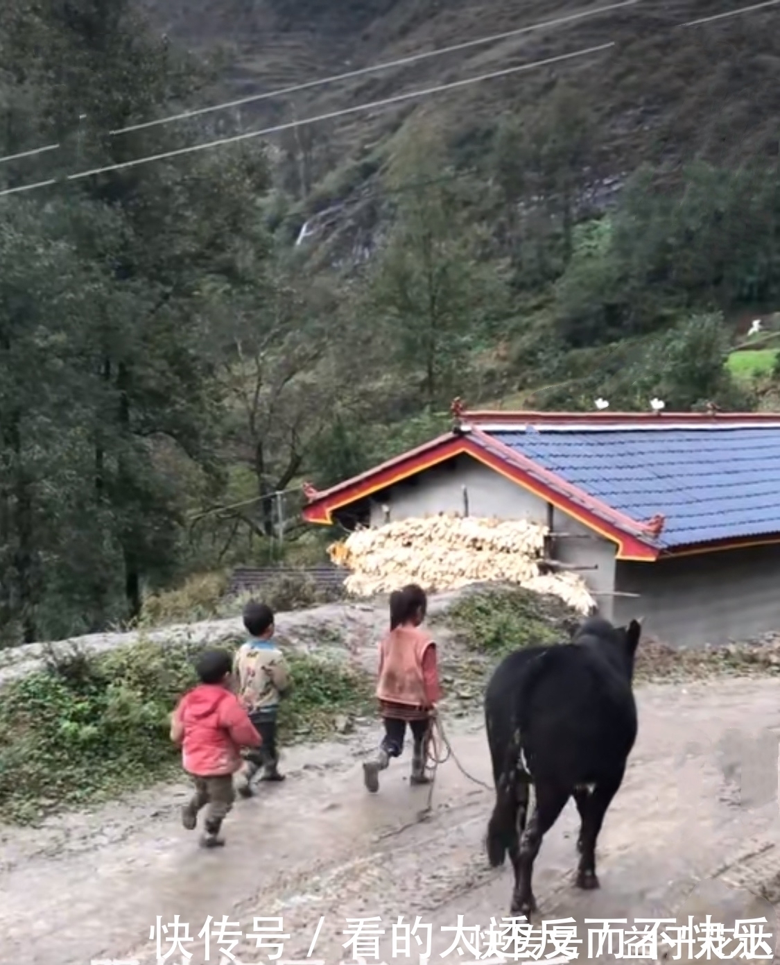 孩子们|怀第五胎的单亲妈妈,无力照顾其他4个娃,孩子饿了吃土豆蘸辣椒