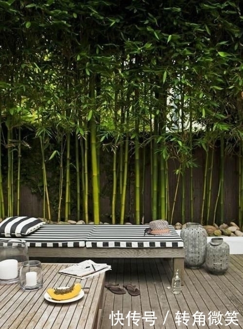 想有个带院子的房子,看花开叶落一辈子,让生活变成一件浪漫的事