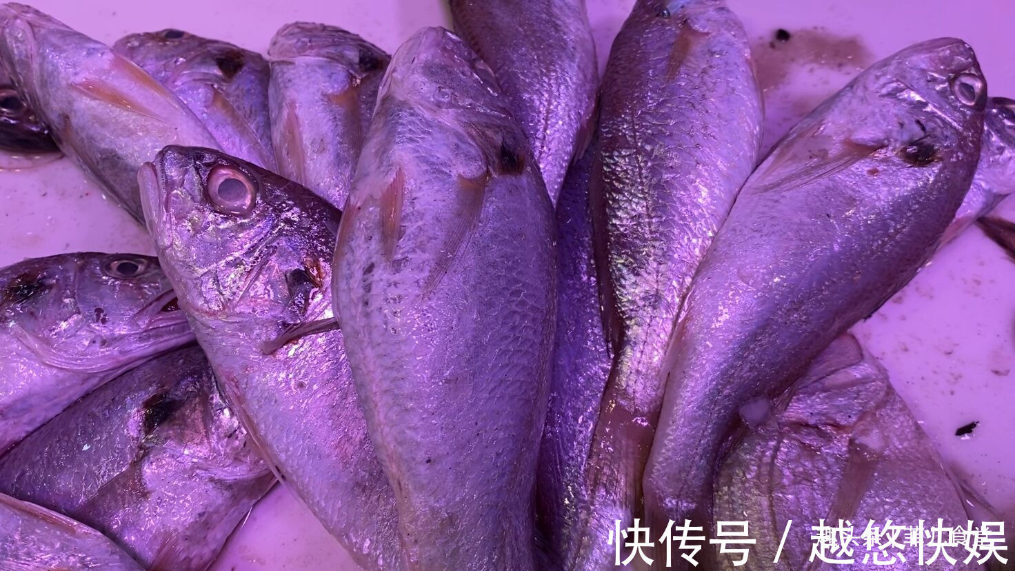 黄鱼|海鲜市场这5种鱼,别看不起眼,都是纯海鱼,营养价值高,别不懂