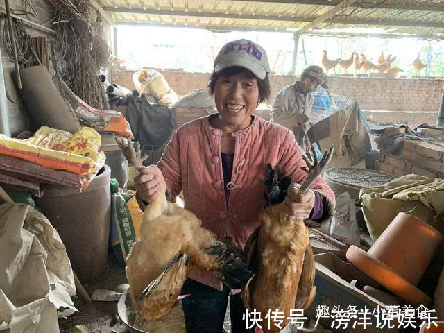 营养|炖鸡肉时，别再直接下锅炖，大厨教你一招，鸡肉鲜嫩营养不流失