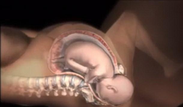 准爸爸|为什么有的初产妇比经产妇生得更快?最后一个原因,和准爸爸有关