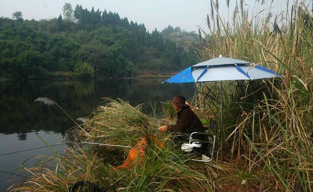 为了让窝里的底层鱼接触到钓饵，我找到了一个简单的方法