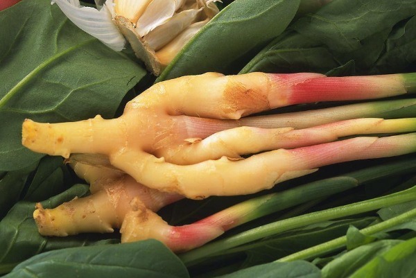 保鲜膜|经常食用醋泡生姜，治病又保健，男人养阳的天然补品