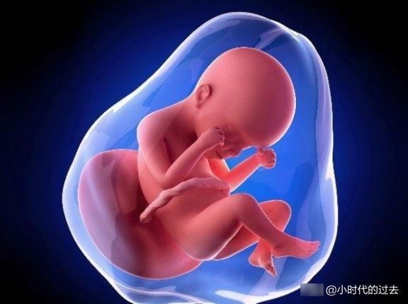 外面的世界|胎儿在腹中真的一天到晚就是睡吗?孕妈看完笑哭,真闹腾