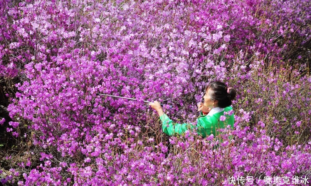 名胜风景区|仙境是何处？人间镜泊湖