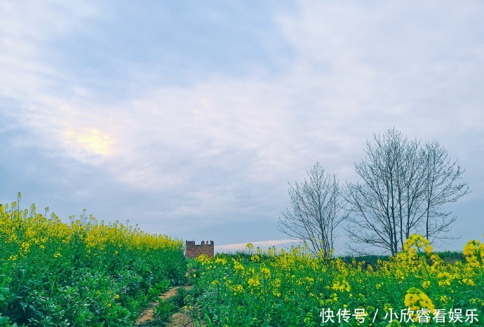 抢先打卡！邛崃油菜花海上线，快点进来～