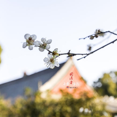 浙江深山发现一古寺，门票5元吃饭2元，被网友好评点赞