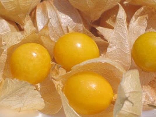 圣女果|人到中年想长寿，要坚持吃3种食物，美容养颜，早吃早好