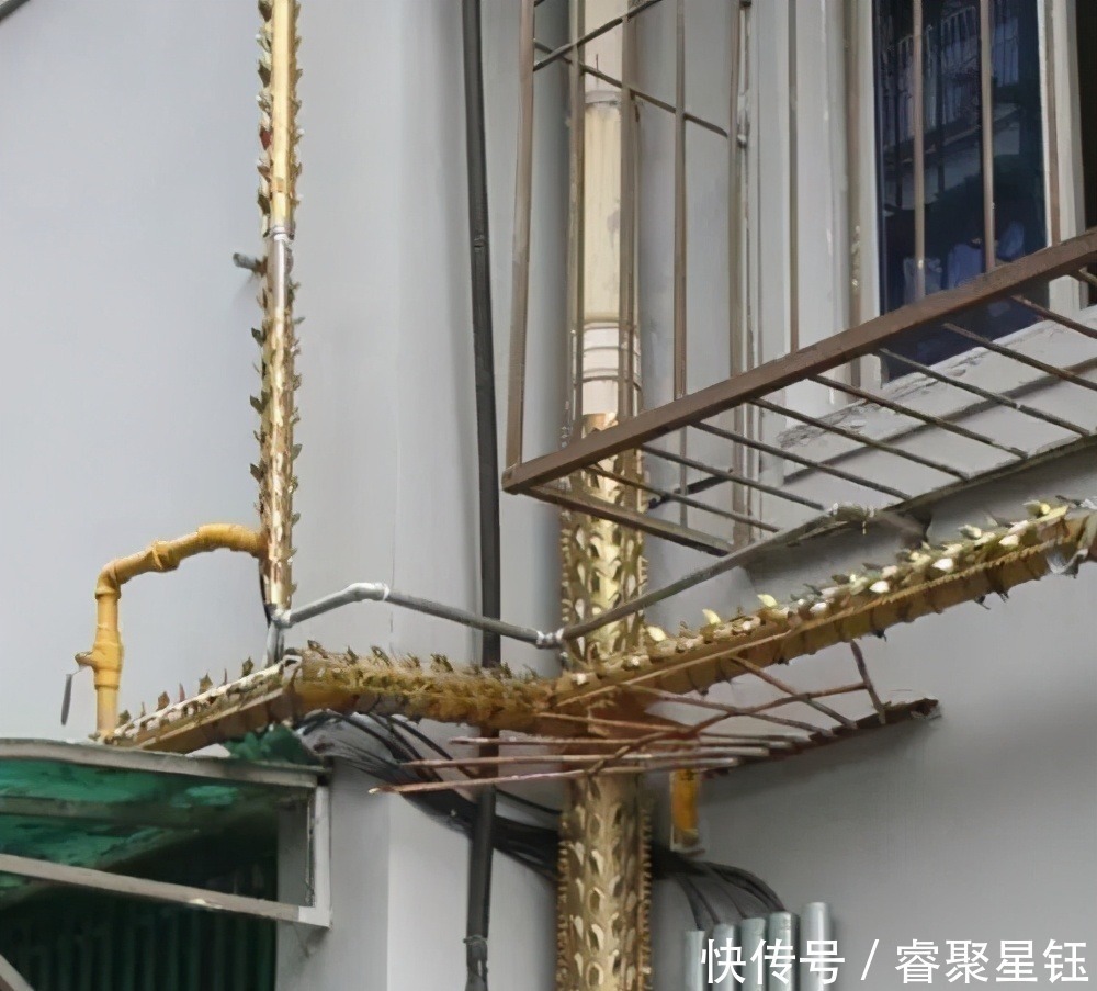 排污管|阳台不要装防盗网了,头次见有钱人用这种代替,实在太聪明了