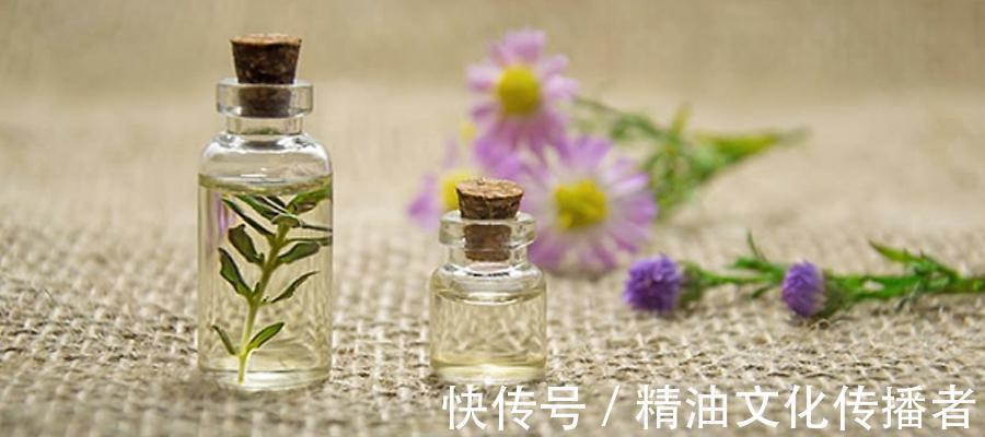 敏感肌、干皮、油皮、混合皮该如何选择精油?|干货分享| 天竺葵精油