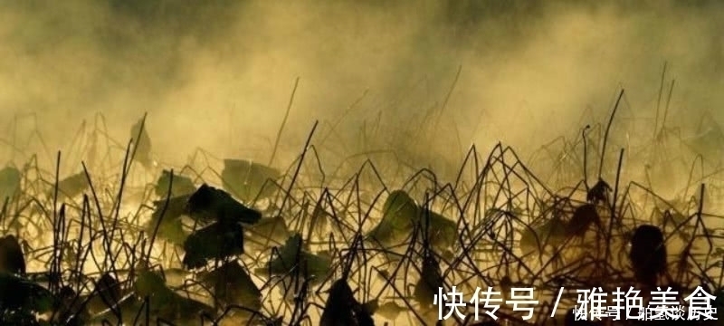 诗情画意!杨万里傍晚时分出门散步,信手拈来写下一首诗,充满了诗情画意!